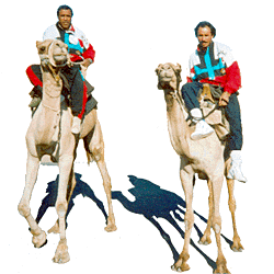 images/culture_camel1.gif