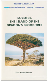 images/report_socotra2.jpg