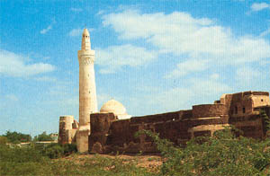 images/local_zabid.jpg