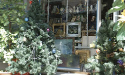 Christmas trees now are sold in Sanaa shops. Seen also in the photo, a calligraphy showing the name of Prophet Mohammed (PBUH).