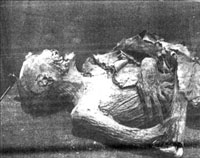 International and national newspapers shed light on the discoveries proving the deep-rootedness of Yemeni history.