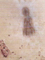 Thamudia scribbling on the rocks dating back to the first century B. C.