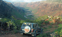 Nothing more exciting than a four-wheel drive adventure in the unpaved roads of Socatra.