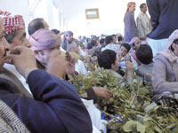 Yemenis prefer to chew qat many hours afternoon than getting out their home for entertainment.