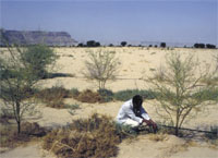 85 percent of the agricultural lands are subject to deterioration.