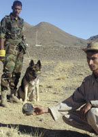 Fake mine demonstration.