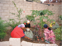 Some of the inmates activities include gardening.