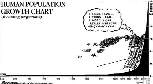 Yemen economic train is unable to climb the human development requirements because of the increasing population. Yemen has the highest fertility range in the region. By 2035 at the same growth rate, Yemen is expected to have a population of 60 million, which three times its population today.