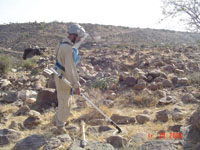 A clearance unit or mine-dog group clears the land inch by inch until all the mines are removed. PHOTO BY MINE ACTION CENTER