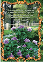 Nasheed used to be thought of as gloomy, but now young people are using the traditional ,Islamic song form to help them in their daily lives.