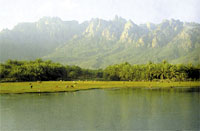 Socotra, an exotic paradise