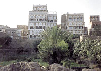 A detailed scene from the Old City of Sanaa, small gardens scattered inside the closed city