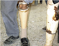 Photo from archived article: photos/669/lastpage1_1