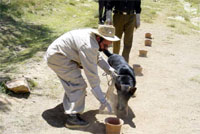 Dogs can be more effective than machines in finding mines