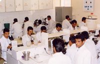 Students during training in the laboratory