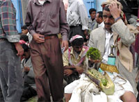 Photo from archived article: photos/721/lastpage1_2