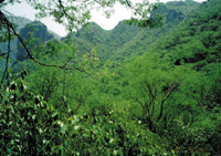 Photo from archived article: photos/763/lastpage1_1