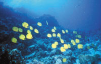 Photo from archived article: photos/810/front1_1