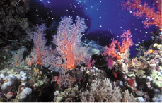 Photo from archived article: photos/810/front1_3