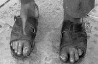 (Photo by Catherine Power)