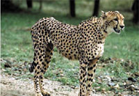 Photo from archived article: photos/878/health1_1