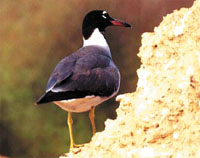 Photo from archived article: photos/878/health1_3