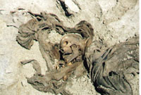 Photo from archived article: photos/903/front3_1