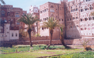 There are more than 40 orchards in old Sana