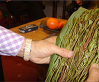 The Harari qat is opened up from its banana  leaf wrap. Source: www.aljazeera.net