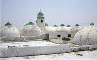 The Grand Mosques roof loaded with many domes.