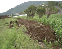 Agricultural fields being spoiled by wheel loaders and bulldozers.