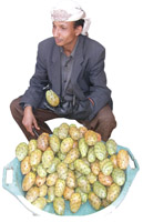 Photo from archived article: photos/975/report1_1